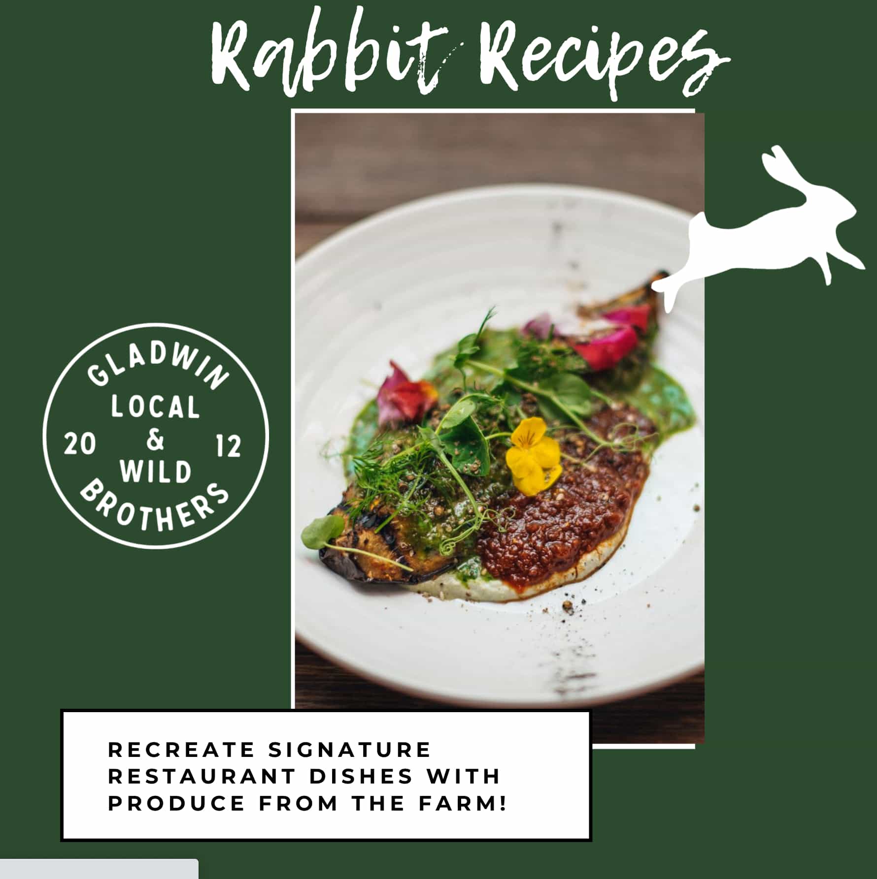 Rabbit Recipes